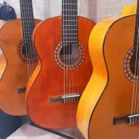 فروش انواع گیتار حرفه ای /|گیتار، بیس، امپلیفایر|شیراز, لب آب|دیوار