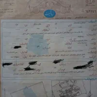 زمین