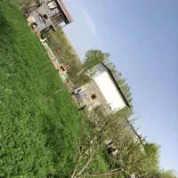 فروش گاوداری /۵/۶۰۰متر/سند تک برگ|فروش دفتر صنعتی، کشاورزی، تجاری|تیکمه داش, |دیوار