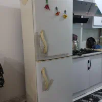 یخچال فریزر Donar