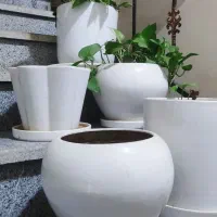 ۵ عدد گلدان بزرگ