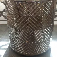 فروش بنسای زیر قیمت به دلیل جابجایی|گل و گیاه طبیعی|تهران, گلستان (شهرک راه آهن)|دیوار