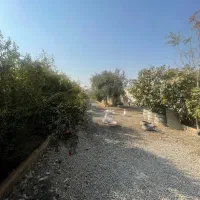 اجاره گلخانه ۶۰۰۰متری ورامین|اجارهٔ دفتر صنعتی، کشاورزی، تجاری|جوادآباد, |دیوار