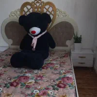 سرویس خواب|تخت و سرویس خواب|فولادشهر, زاینده رود|دیوار