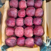 سیب قرمز و زرد درجه یک 1فروش عمده -سردخانه ارومیه|خوردنی و آشامیدنی|ملارد, |دیوار