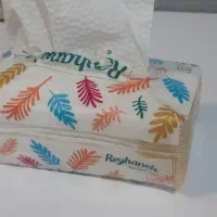 فروش دستمال کاغذی اقتصادی با کیفیت عالی|مواد شوینده و دستمال کاغذی|مشهد, کشاورز|دیوار