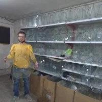 شیشه چند صلعی تراریوم چند وجهی تراریوم|گل و گیاه طبیعی|تهران, ابوذر|دیوار