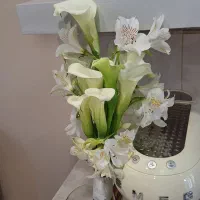 فروش دسته گل طبیعی عروس شیپوری وارداتی|گل و گیاه طبیعی|تهران, مدائن|دیوار