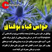 عرقیجات بوقناق درمان قند خون وپایین آوردن قند|خوردنی و آشامیدنی|مشهد, رسالت|دیوار