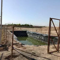 فروش گلخانه5هزارمتری سند6دانگ ورامین داود آباد|فروش دفتر صنعتی، کشاورزی، تجاری|ورامین, |دیوار