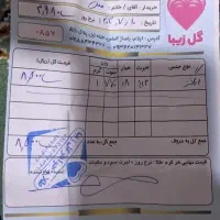 انگشتر طلا نو