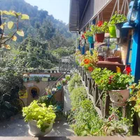 اجاره سوئیت کلبه جنگلی ویلا جنگلی