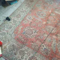 فروش فرش قدیمی دست بافت50ساله 12متری و فرش 00