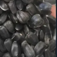 محصولات خانگی|خوردنی و آشامیدنی|تهران, امیریه|دیوار