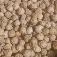 انجیر بش