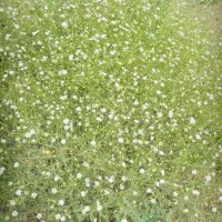 /     کارگر مجرد مرغداری