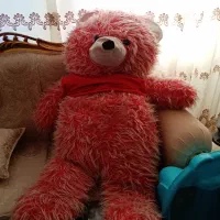 کالسکه کریر رورویک صندلی غذا آغوشی وان کودک|اسباب و اثاث بچه|تبریز, |دیوار