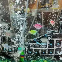 آکواریوم به فروش میرسد|ماهی|زرقان, |دیوار