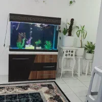آکواریوم کمدی با لوازم و ماهی