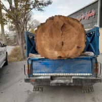 خرید چوب|خدمات باغبانی و درختکاری|مراغه, |دیوار