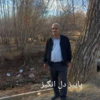 گم شدن مدارک خودرو