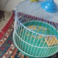 اسباب بازی واس بچه ها