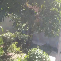 منزل در محله چادگون شهر رزوه|فروش خانه و ویلا|چادگان, |دیوار