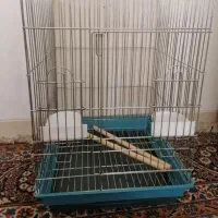 قفس پرنده