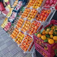 پخش عمده انواع میوه در سطح شهرستان شاهین دژ و حومه