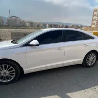 شیشه دودی (درب منزل)