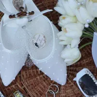 فیلمبردارو عکاس خانم