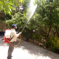 سم پاشی سم گل درخت سم شته حشرات سم سوسک وساس