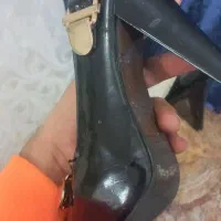 کفش مجلسی|کیف، کفش، کمربند|تربت‌حیدریه, باغ ملی|دیوار