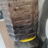ترشی سیر نجوشیده ۸ ساله
