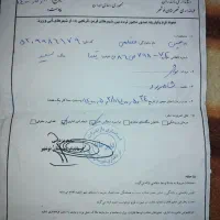 تیباصندوقدار مدل 98|خودرو سواری و وانت|نوده خاندوز, |دیوار