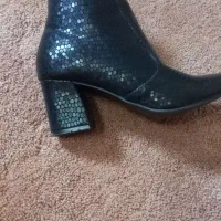 پوتین مجلسی