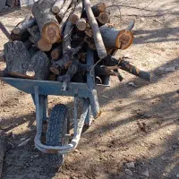 خرید فروش چوب