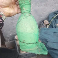 کوزه دارم برای سبزه عید