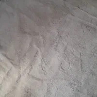 موکت سبز وطوسی|موکت|کرمانشاه, |دیوار