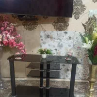 زیر تلویزیونی