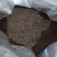 فروش زیره کوهی