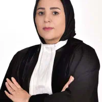 وکیل پایه یک دادگستری با ۱۷ سال سابقه وکالت