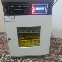 دستگاه جوجه کشی42تایی تمام هوشمند|حیوانات مزرعه|شیراز, گویم|دیوار