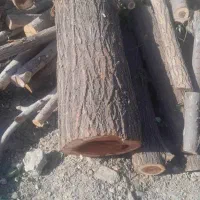 شاگرد ، کارگر ساده خمینی شهر