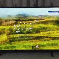 تلویزیون single(49اینچ)