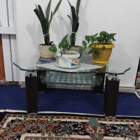 تعدادی وسایل خانه