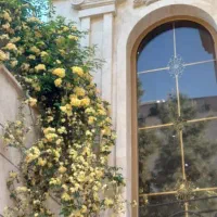 فروش آپارتمان