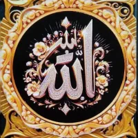 شیائومی نوت ۱۴ پرو رام ۱۲ ، حافظه ۵۱۲