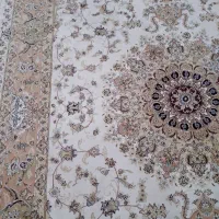 فرش|فرش|رشت, شالکو|دیوار