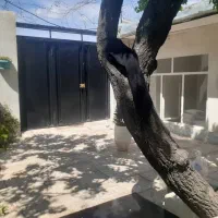 سرایدار زوج جوان